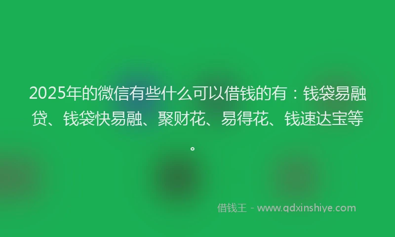 2025年的微信有些什么可以借钱的有：钱袋易融贷、钱袋快易融、聚财花、易得花、钱速达宝等。