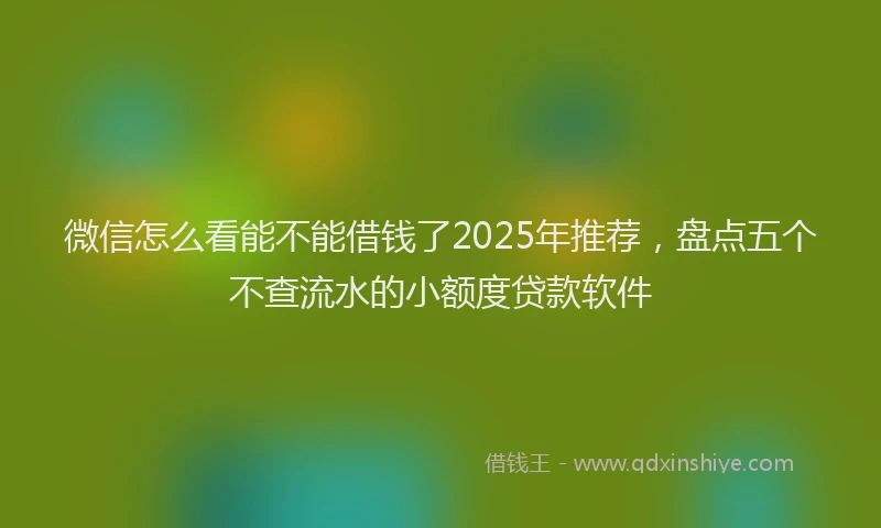 微信怎么看能不能借钱了2025年推荐，盘点五个不查流水的小额度贷款软件
