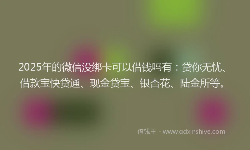 2025年的微信没绑卡可以借钱吗有：贷你无忧、借款宝快贷通、现金贷宝、银杏花、陆金所等。