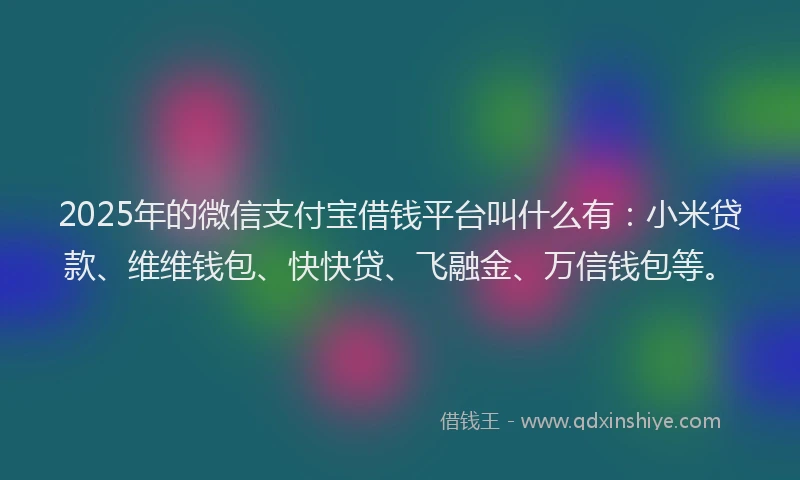 2025年的微信支付宝借钱平台叫什么有：小米贷款、维维钱包、快快贷、飞融金、万信钱包等。