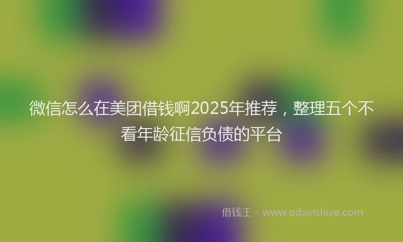微信怎么在美团借钱啊2025年推荐，整理五个不看年龄征信负债的平台