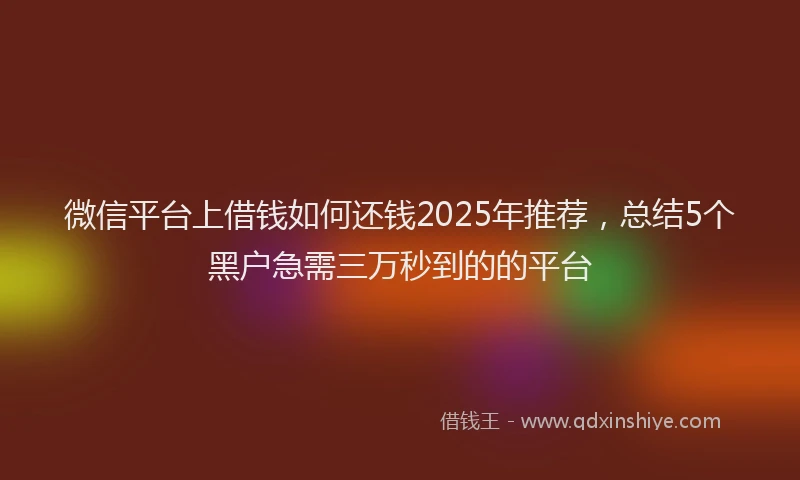 微信平台上借钱如何还钱2025年推荐，总结5个黑户急需三万秒到的的平台