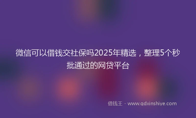 微信可以借钱交社保吗2025年精选，整理5个秒批通过的网贷平台