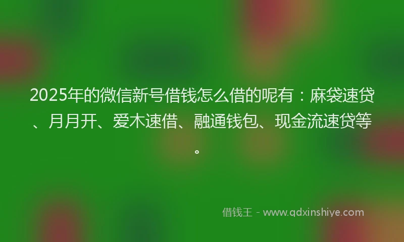 2025年的微信新号借钱怎么借的呢有：麻袋速贷、月月开、爱木速借、融通钱包、现金流速贷等。