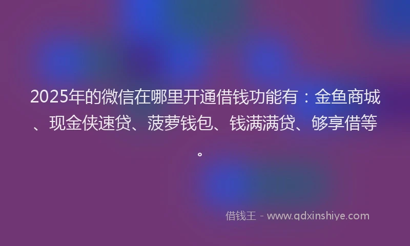 2025年的微信在哪里开通借钱功能有：金鱼商城、现金侠速贷、菠萝钱包、钱满满贷、够享借等。