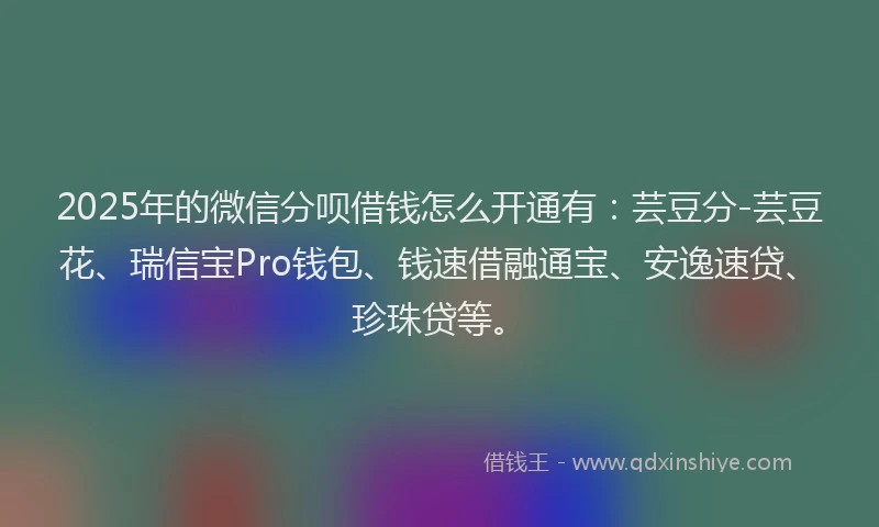 2025年的微信分呗借钱怎么开通有：芸豆分-芸豆花、瑞信宝Pro钱包、钱速借融通宝、安逸速贷、珍珠贷等。