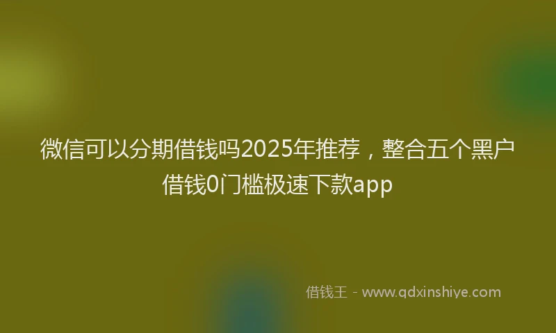 微信可以分期借钱吗2025年推荐，整合五个黑户借钱0门槛极速下款app