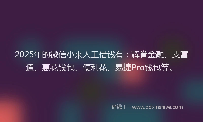 2025年的微信小来人工借钱有：辉誉金融、支富通、惠花钱包、便利花、易捷Pro钱包等。