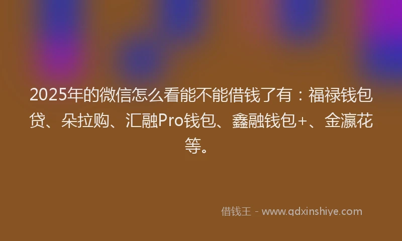2025年的微信怎么看能不能借钱了有：福禄钱包贷、朵拉购、汇融Pro钱包、鑫融钱包+、金瀛花等。