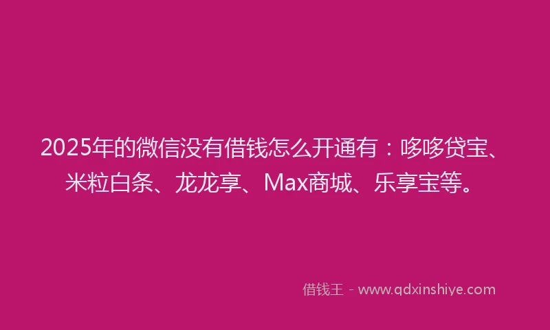 2025年的微信没有借钱怎么开通有：哆哆贷宝、米粒白条、龙龙享、Max商城、乐享宝等。