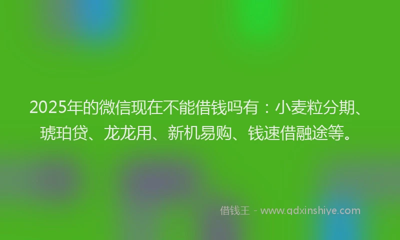 2025年的微信现在不能借钱吗有：小麦粒分期、琥珀贷、龙龙用、新机易购、钱速借融途等。