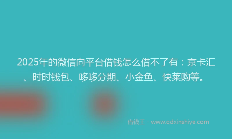 2025年的微信向平台借钱怎么借不了有：京卡汇、时时钱包、哆哆分期、小金鱼、快莱购等。