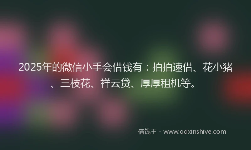 2025年的微信小手会借钱有：拍拍速借、花小猪、三枝花、祥云贷、厚厚租机等。