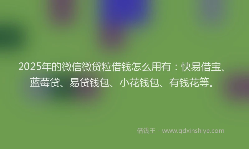 2025年的微信微贷粒借钱怎么用有：快易借宝、蓝莓贷、易贷钱包、小花钱包、有钱花等。