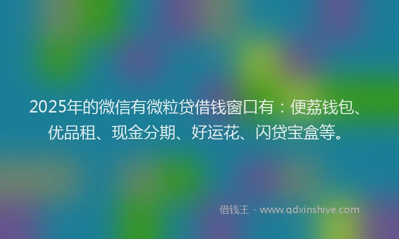 2025年的微信有微粒贷借钱窗口有：便荔钱包、优品租、现金分期、好运花、闪贷宝盒等。