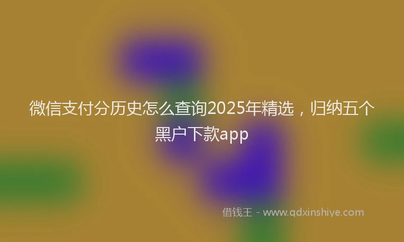 微信支付分历史怎么查询2025年精选，归纳五个黑户下款app