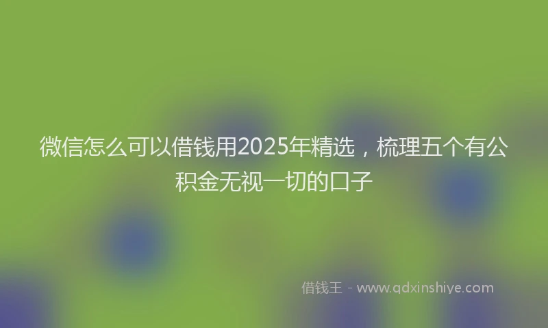 微信怎么可以借钱用2025年精选，梳理五个有公积金无视一切的口子
