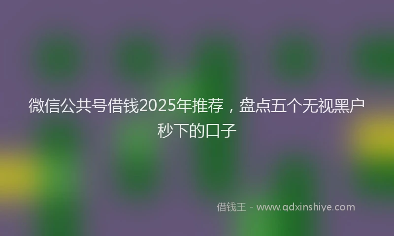 微信公共号借钱2025年推荐，盘点五个无视黑户秒下的口子