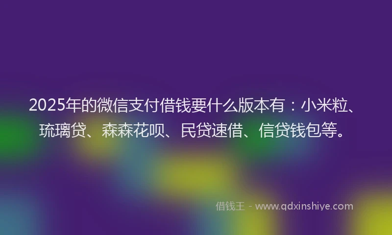 2025年的微信支付借钱要什么版本有：小米粒、琉璃贷、森森花呗、民贷速借、信贷钱包等。