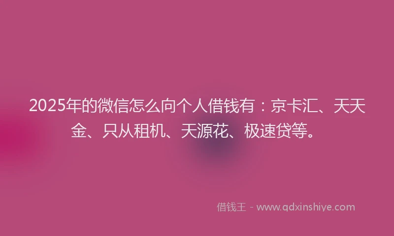 2025年的微信怎么向个人借钱有：京卡汇、天天金、只从租机、天源花、极速贷等。