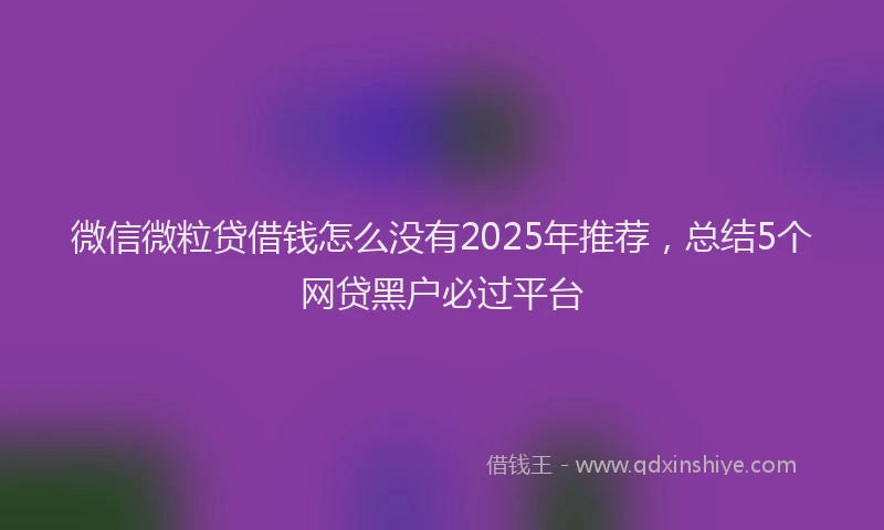微信微粒贷借钱怎么没有2025年推荐，总结5个网贷黑户必过平台