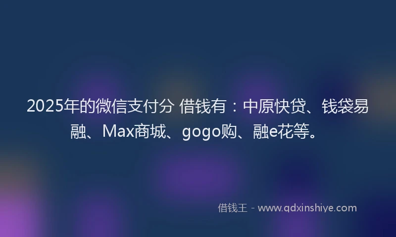 2025年的微信支付分 借钱有：中原快贷、钱袋易融、Max商城、gogo购、融e花等。