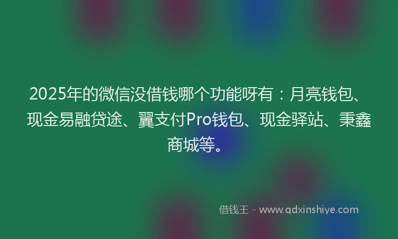 2025年的微信没借钱哪个功能呀有：月亮钱包、现金易融贷途、翼支付Pro钱包、现金驿站、秉鑫商城等。