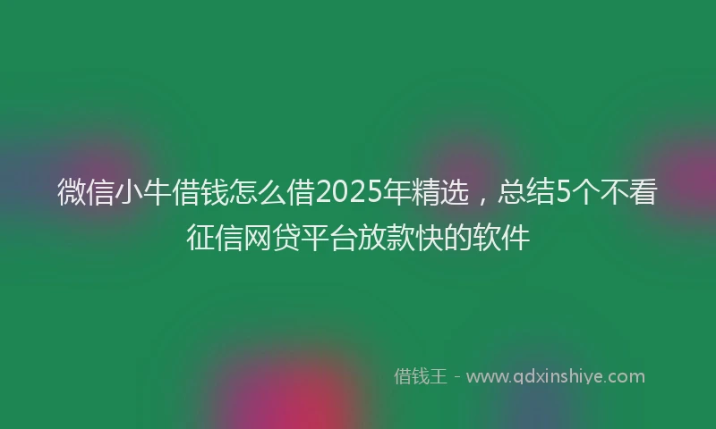 微信小牛借钱怎么借2025年精选，总结5个不看征信网贷平台放款快的软件