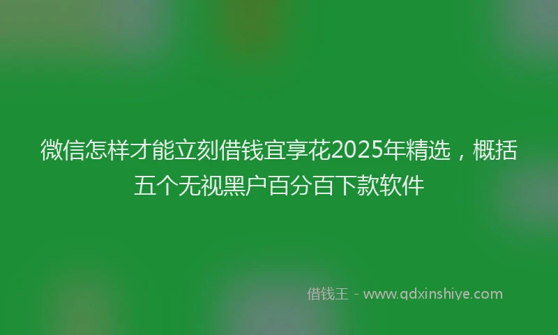 微信怎样才能立刻借钱宜享花2025年精选，概括五个无视黑户百分百下款软件