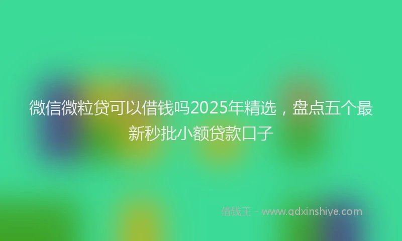 微信微粒贷可以借钱吗2025年精选，盘点五个最新秒批小额贷款口子
