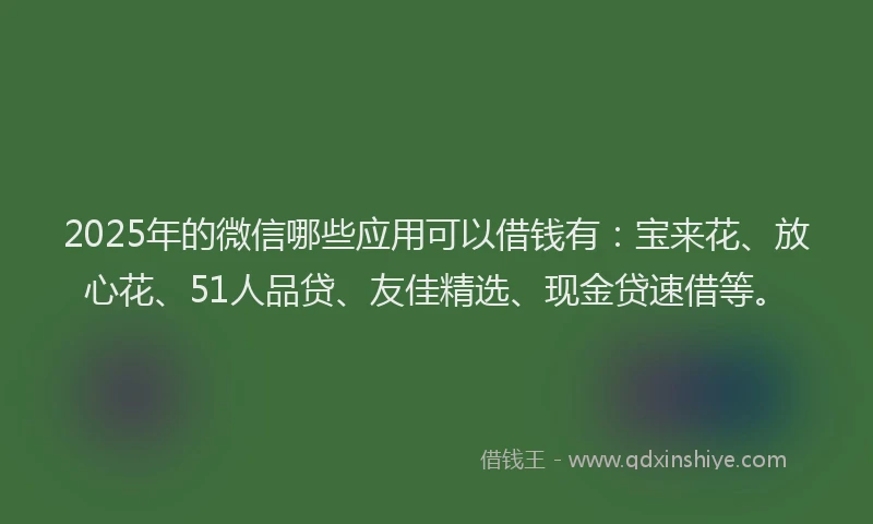 2025年的微信哪些应用可以借钱有：宝来花、放心花、51人品贷、友佳精选、现金贷速借等。