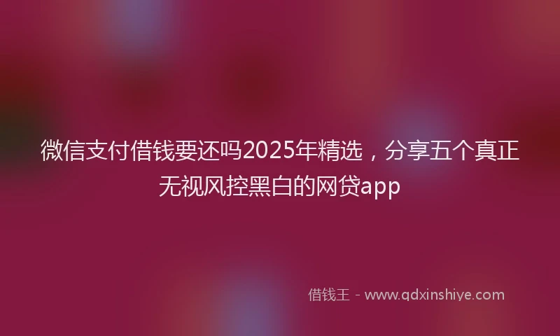 微信支付借钱要还吗2025年精选，分享五个真正无视风控黑白的网贷app