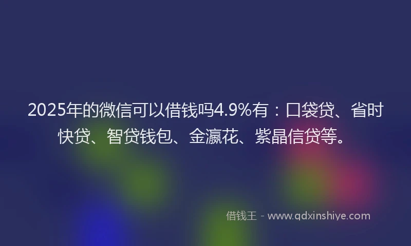 2025年的微信可以借钱吗4.9%有：口袋贷、省时快贷、智贷钱包、金瀛花、紫晶信贷等。