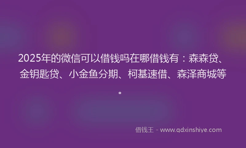 2025年的微信可以借钱吗在哪借钱有：森森贷、金钥匙贷、小金鱼分期、柯基速借、森泽商城等。