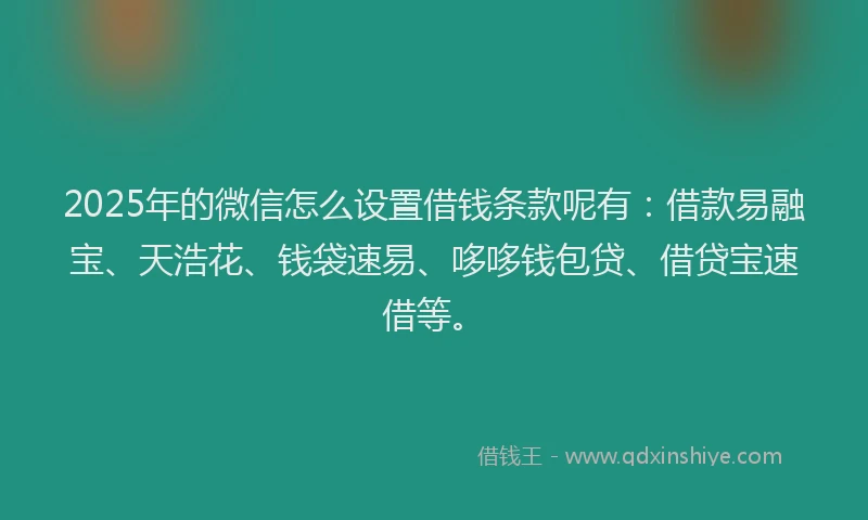 2025年的微信怎么设置借钱条款呢有：借款易融宝、天浩花、钱袋速易、哆哆钱包贷、借贷宝速借等。
