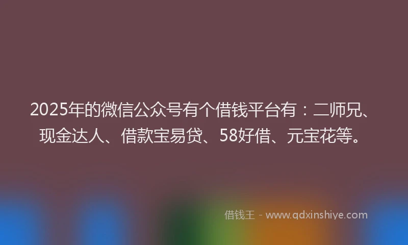 2025年的微信公众号有个借钱平台有：二师兄、现金达人、借款宝易贷、58好借、元宝花等。