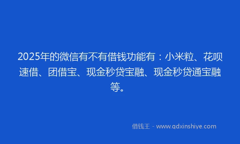 2025年的微信有不有借钱功能有：小米粒、花呗速借、团借宝、现金秒贷宝融、现金秒贷通宝融等。