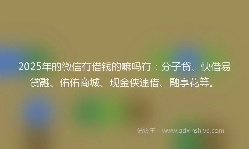 2025年的微信有借钱的嘛吗有：分子贷、快借易贷融、佑佑商城、现金侠速借、融享花等。