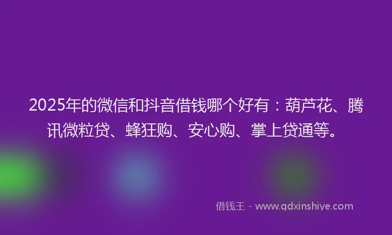2025年的微信和抖音借钱哪个好有：葫芦花、腾讯微粒贷、蜂狂购、安心购、掌上贷通等。