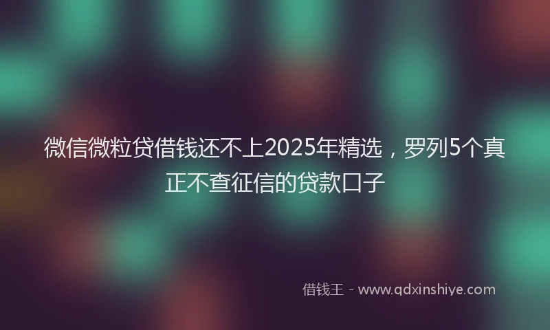 微信微粒贷借钱还不上2025年精选，罗列5个真正不查征信的贷款口子