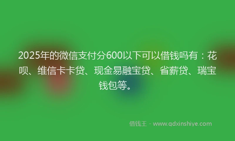 2025年的微信支付分600以下可以借钱吗有：花呗、维信卡卡贷、现金易融宝贷、省薪贷、瑞宝钱包等。