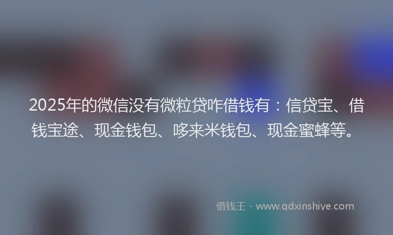 2025年的微信没有微粒贷咋借钱有：信贷宝、借钱宝途、现金钱包、哆来米钱包、现金蜜蜂等。