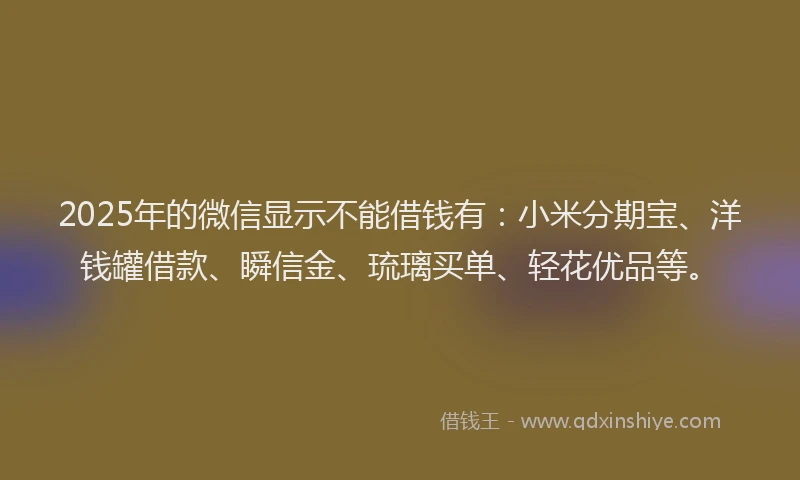 2025年的微信显示不能借钱有：小米分期宝、洋钱罐借款、瞬信金、琉璃买单、轻花优品等。