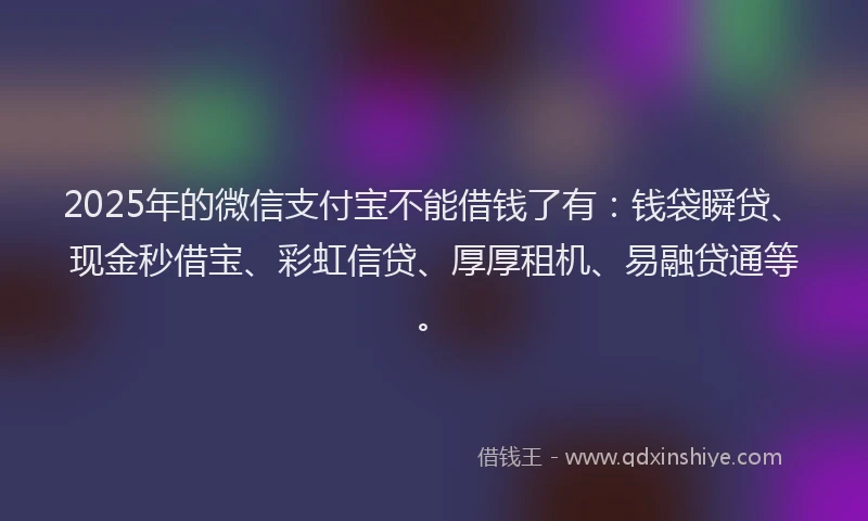 2025年的微信支付宝不能借钱了有：钱袋瞬贷、现金秒借宝、彩虹信贷、厚厚租机、易融贷通等。