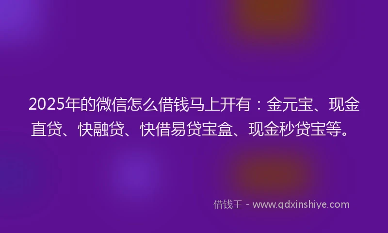2025年的微信怎么借钱马上开有：金元宝、现金直贷、快融贷、快借易贷宝盒、现金秒贷宝等。