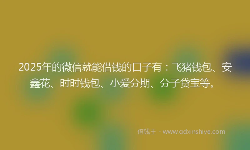 2025年的微信就能借钱的口子有：飞猪钱包、安鑫花、时时钱包、小爱分期、分子贷宝等。