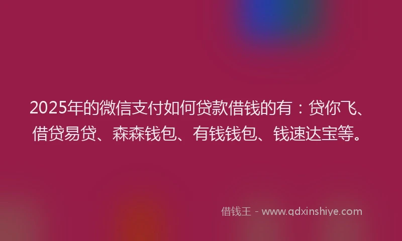 2025年的微信支付如何贷款借钱的有：贷你飞、借贷易贷、森森钱包、有钱钱包、钱速达宝等。