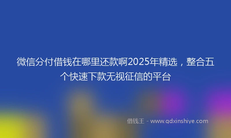 微信分付借钱在哪里还款啊2025年精选，整合五个快速下款无视征信的平台