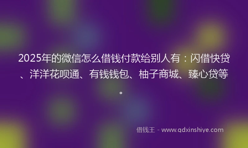 2025年的微信怎么借钱付款给别人有：闪借快贷、洋洋花呗通、有钱钱包、柚子商城、臻心贷等。
