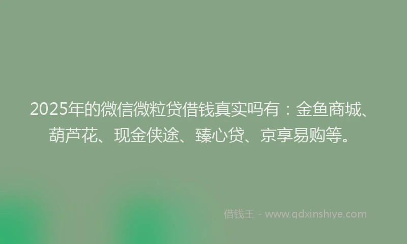 2025年的微信微粒贷借钱真实吗有：金鱼商城、葫芦花、现金侠途、臻心贷、京享易购等。
